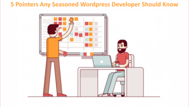 5 pointers WordPress Developers Should Know