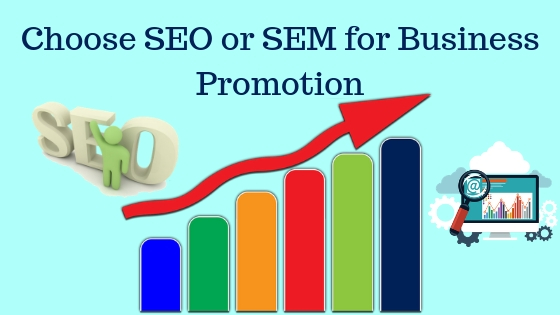Choose SEO or SEM for Business Promotion