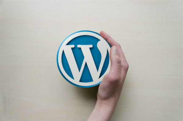 A hand cusping a WordPress logo against a white background.
